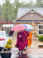 img_20260215_101622_1_original